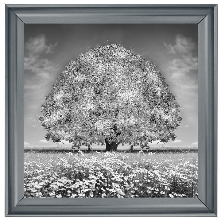 LS276 White Oak Tree