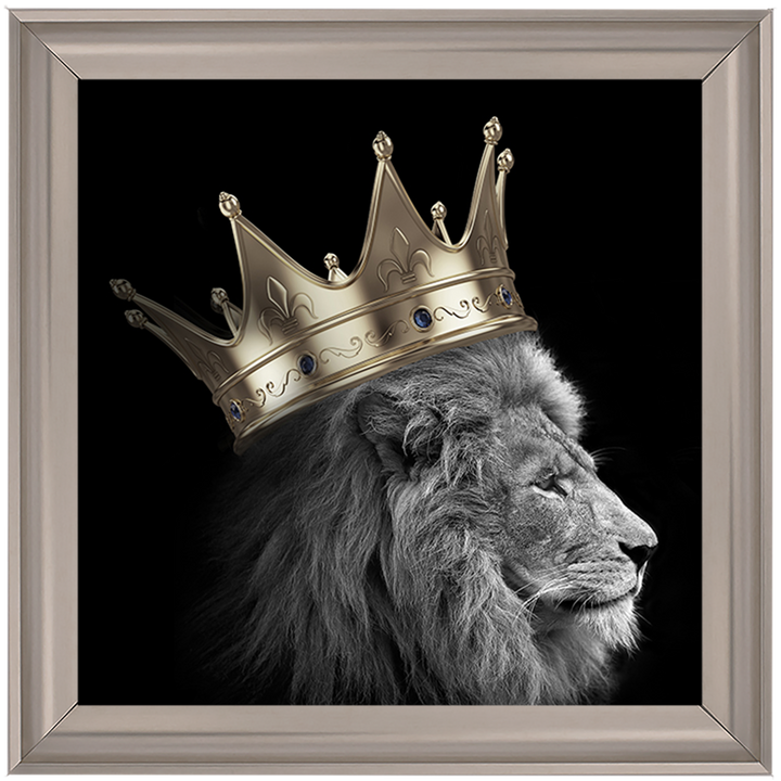 AN297 King Lion Gold