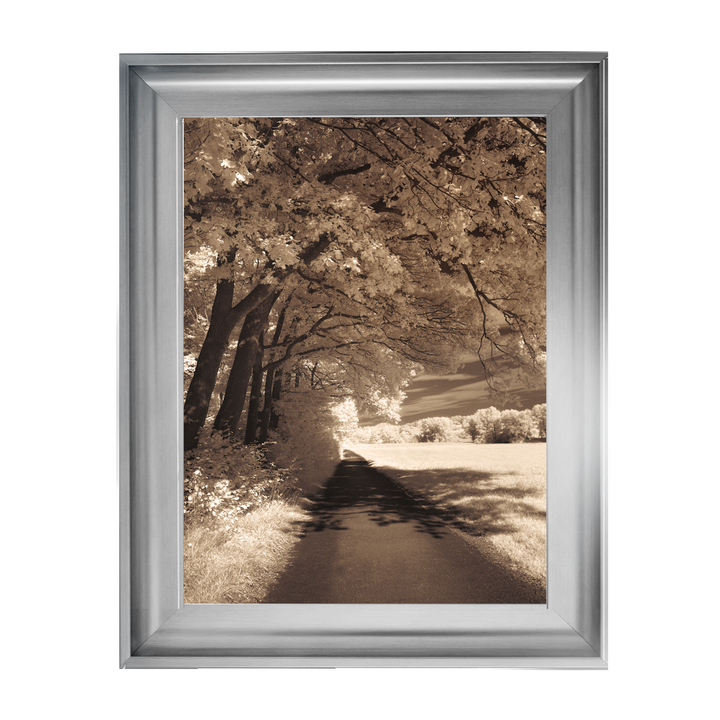 The Path Ahead