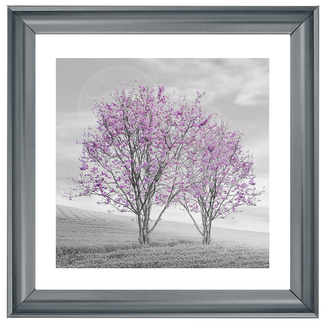 LS124 Purple Twin Trees