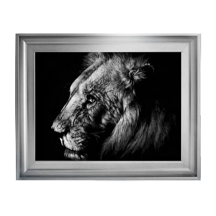 AN025 Wildlife Scratchboards I