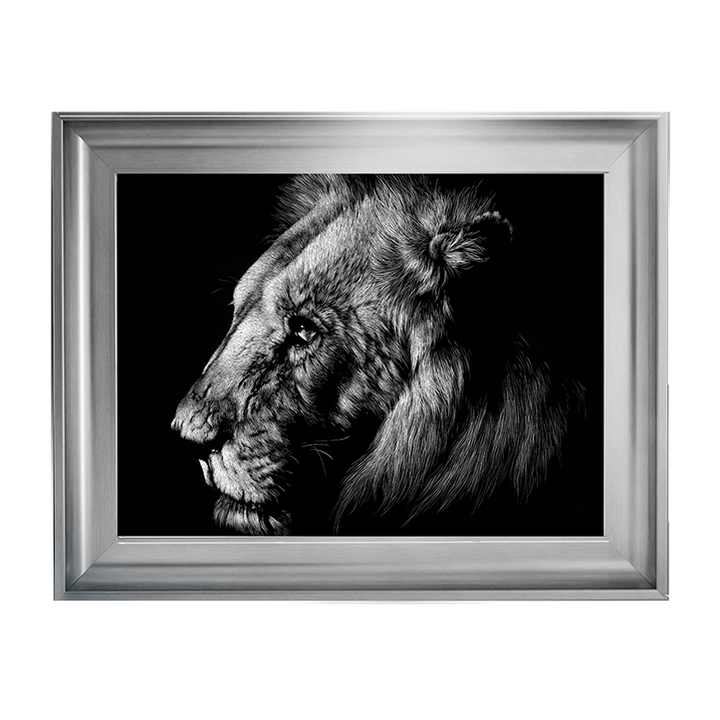 AN025 Wildlife Scratchboards I