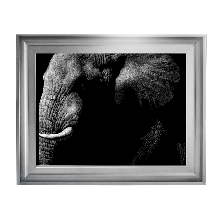 AN026 Wildlife Scratchboards III
