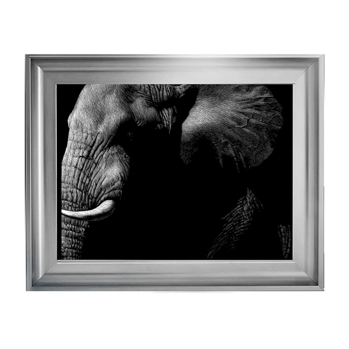 AN026 Wildlife Scratchboards III
