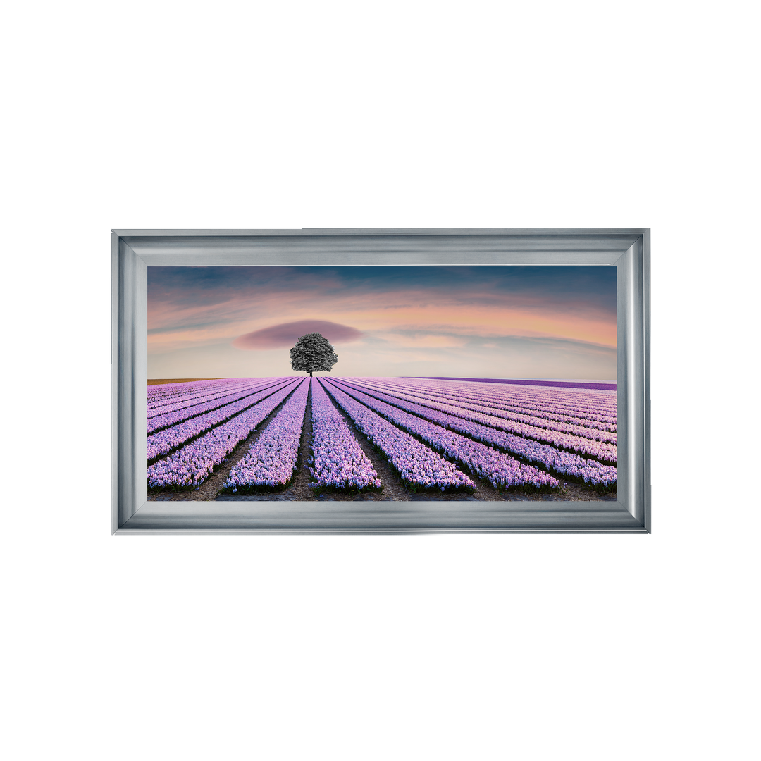 Purple Purple Field I