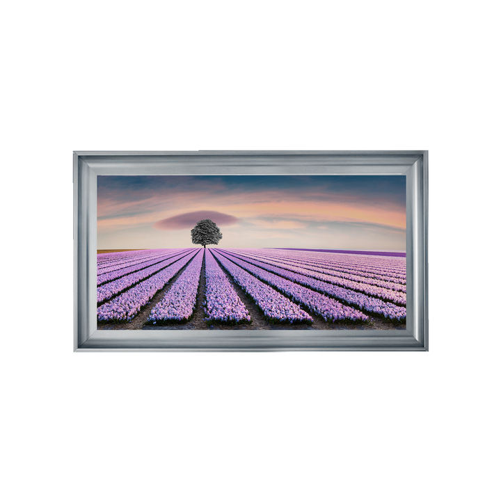Purple Purple Field I