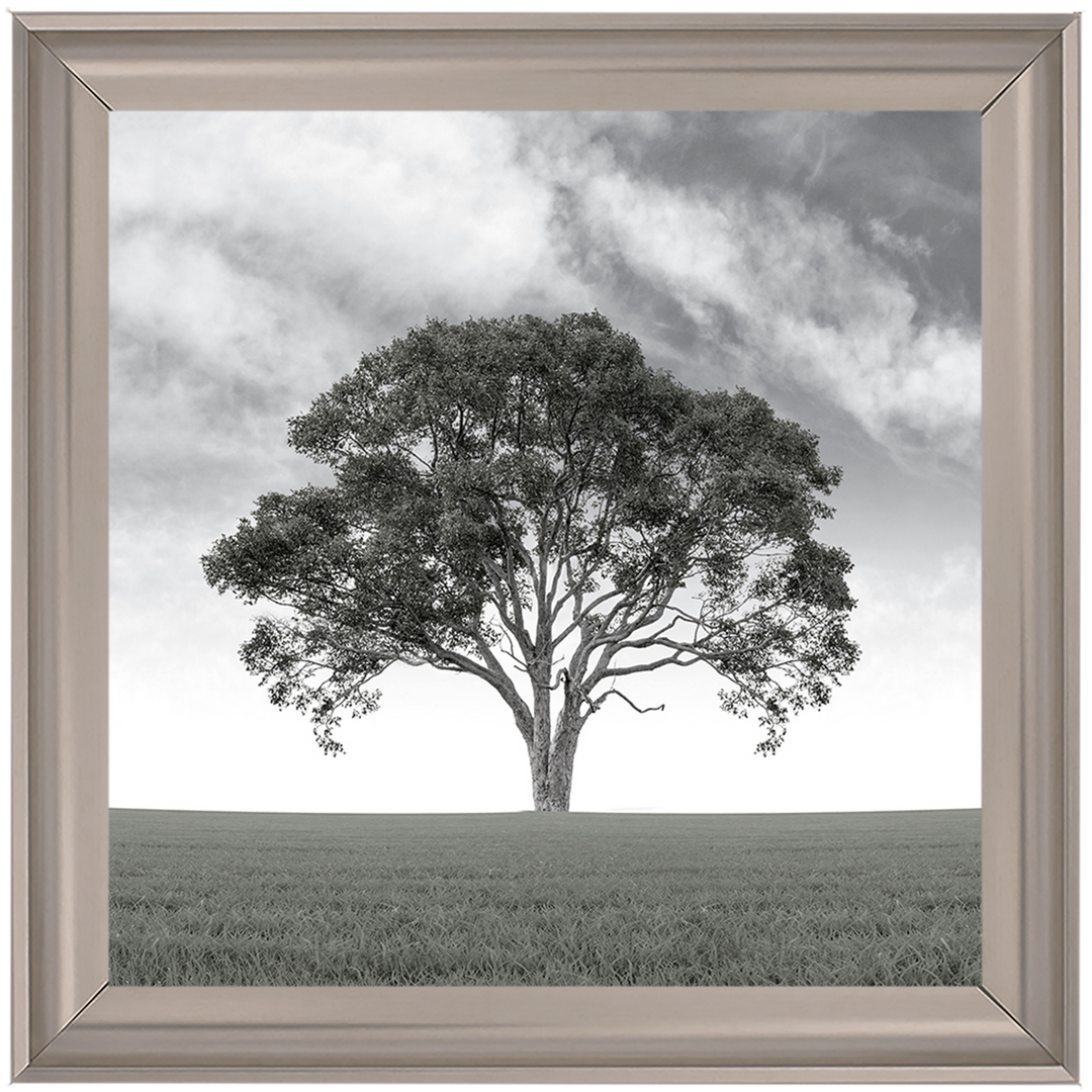 LS190 Lone Tree 1