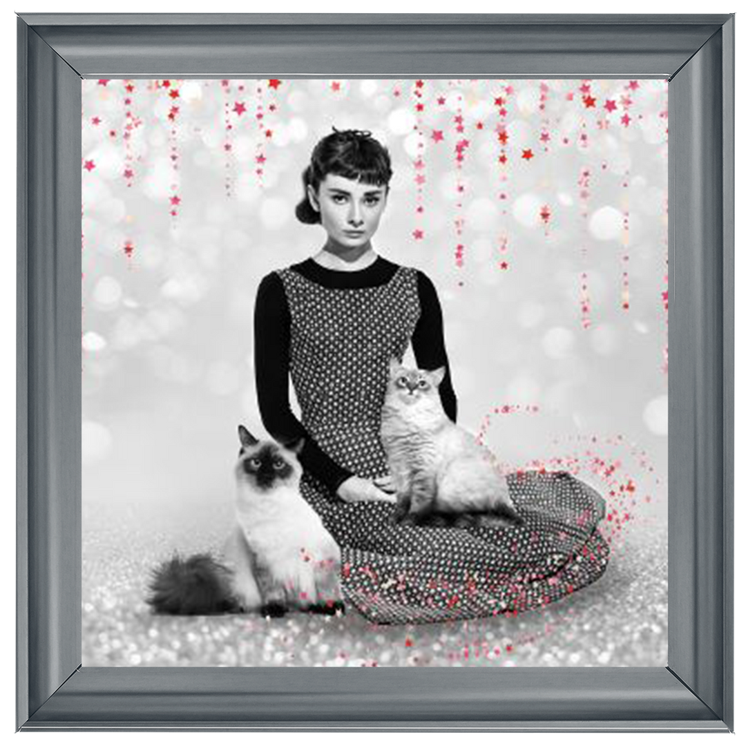 IC011 Audrey and cats