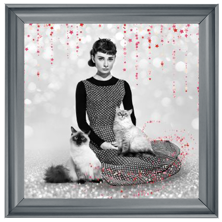 IC011 Audrey and cats