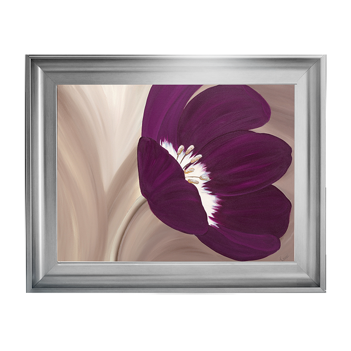 Velvet Poppy