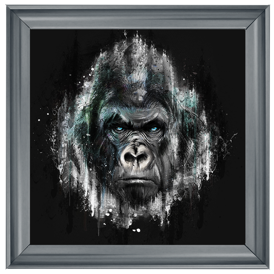 AN417 Black & Blue Gorilla Watercolour