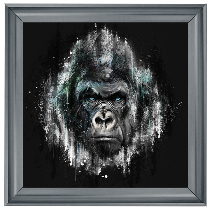 AN417 Black & Blue Gorilla Watercolour