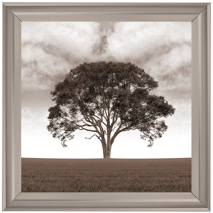 LS189 Lone Tree