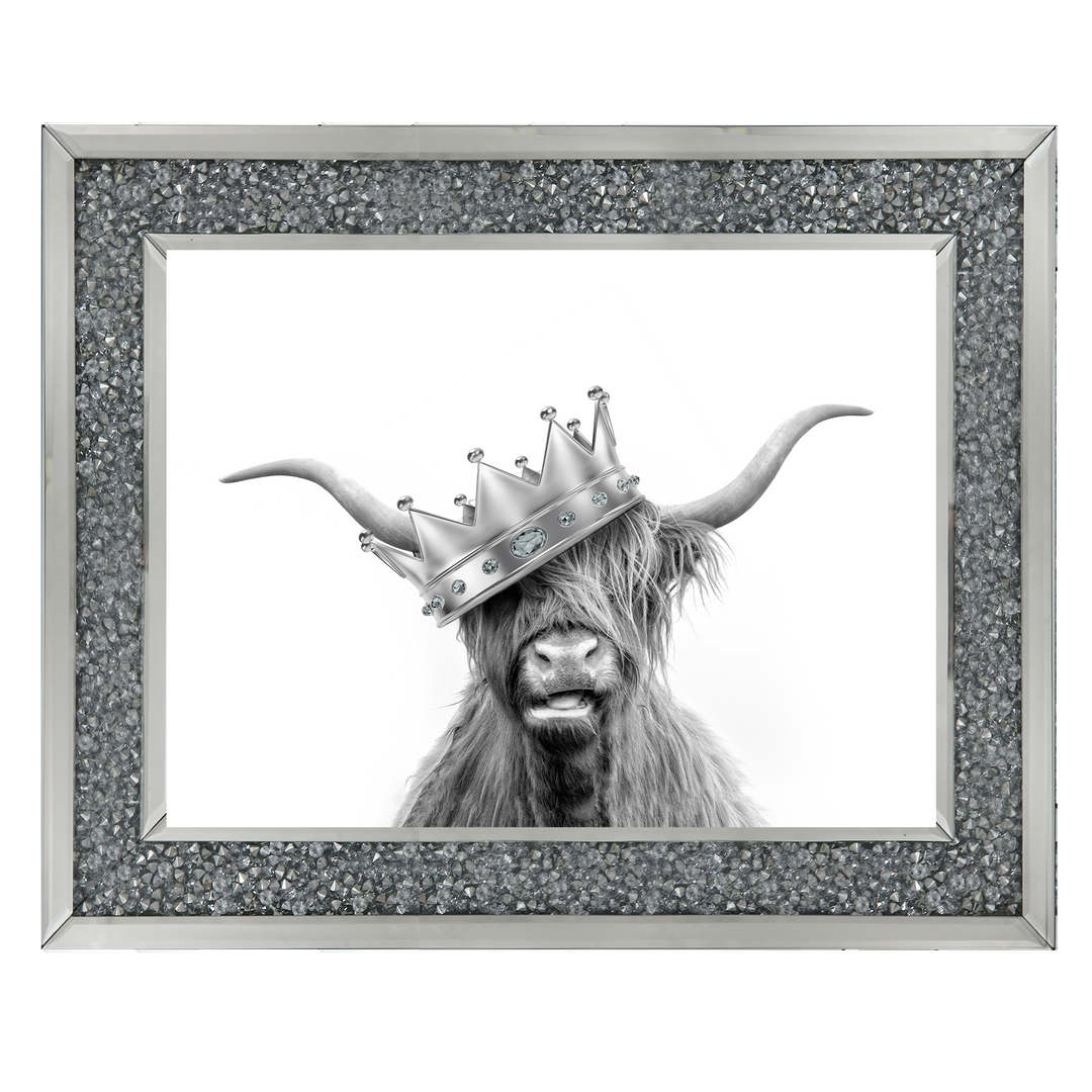 Crowned Highland Cow