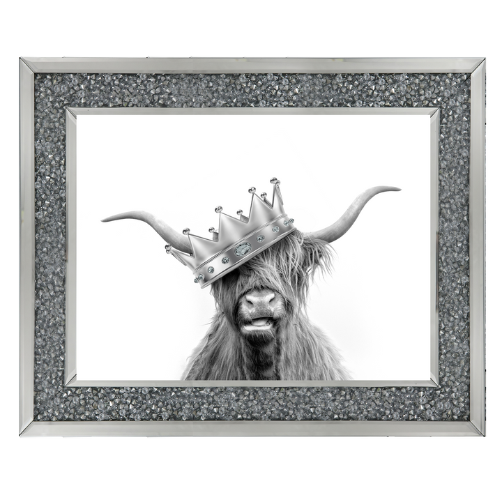 Crowned Highland Cow