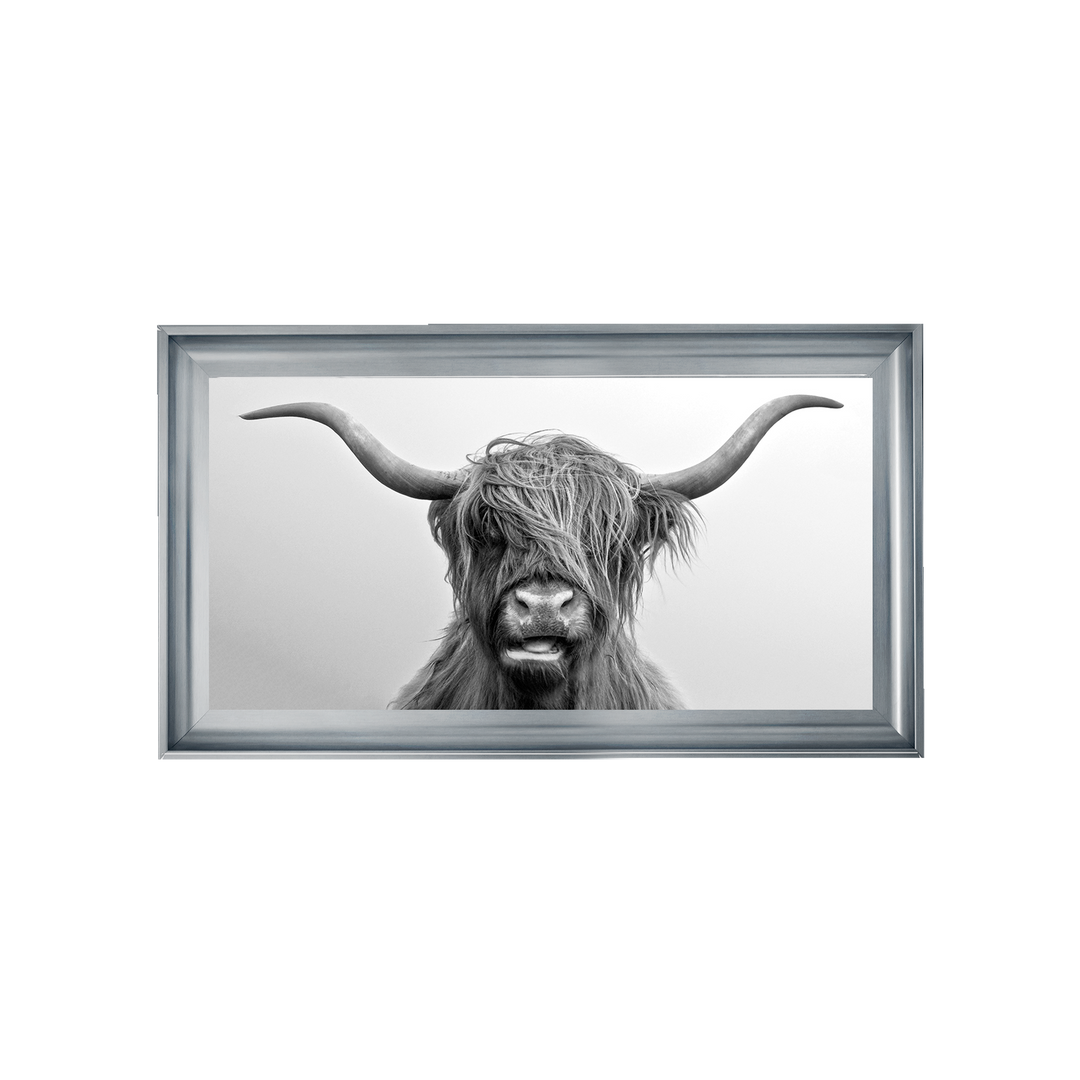 AN280 Highland Cow I