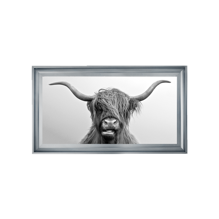 AN280 Highland Cow I