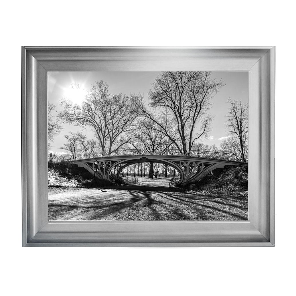 Walkway bridge in Central park, New York