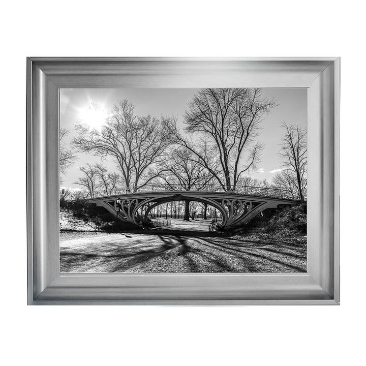 Walkway bridge in Central park, New York