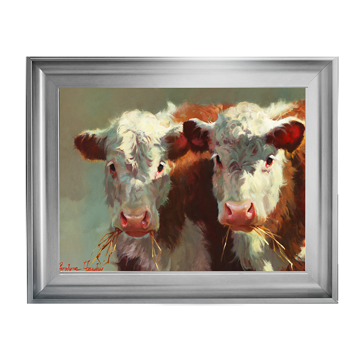 Cow Belles
