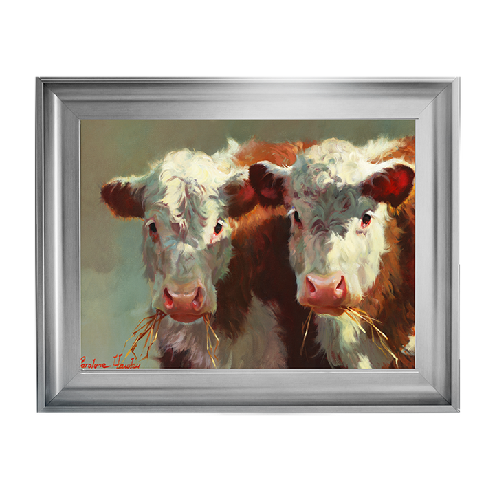 Cow Belles