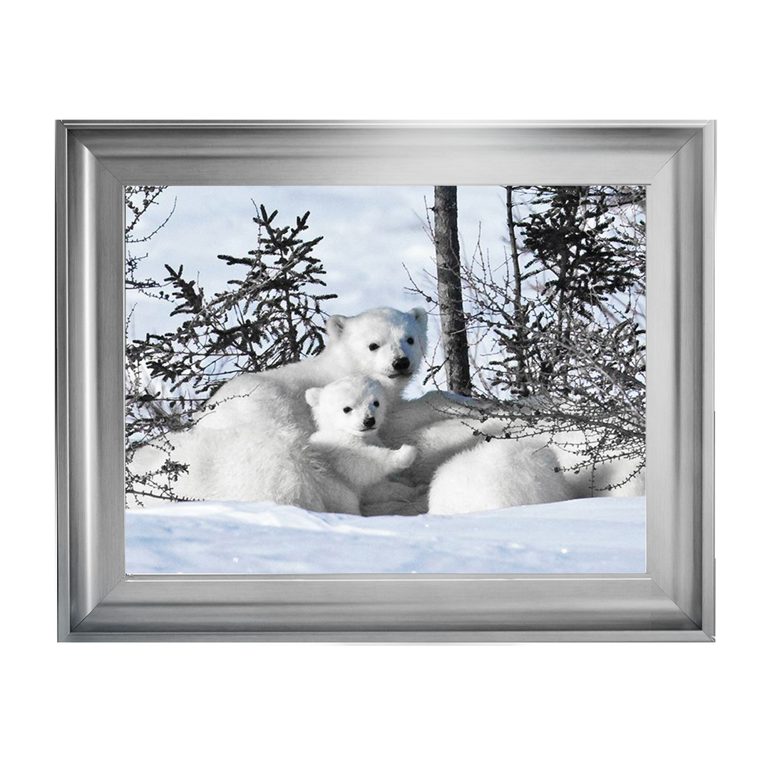 Winter Cubs