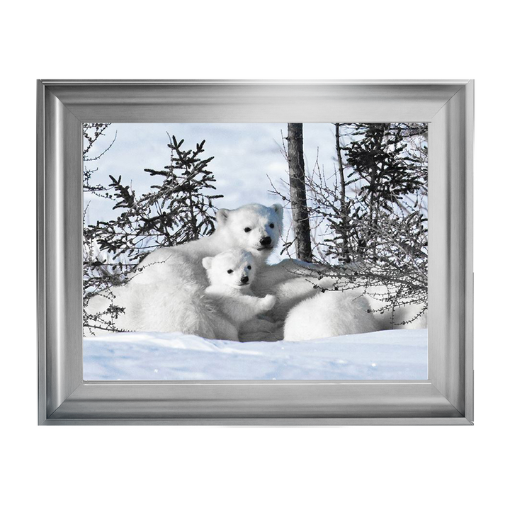 Winter Cubs