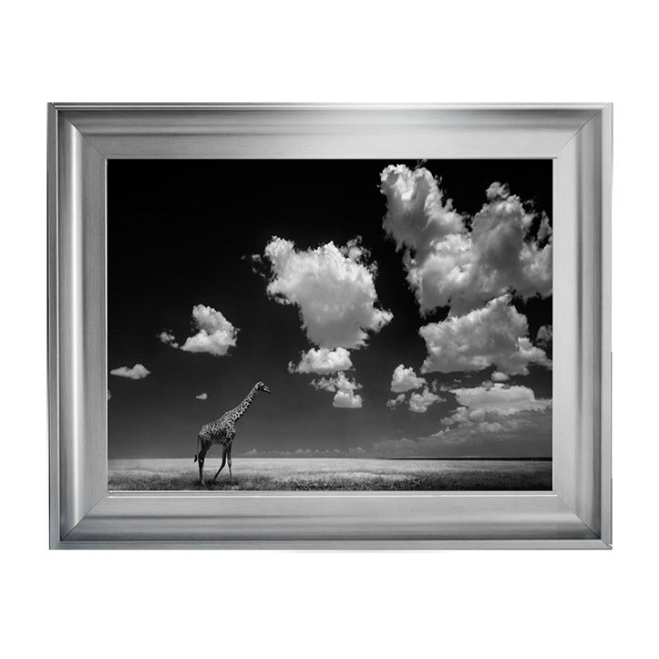Ghizzi Panizza -Gone with the Clouds