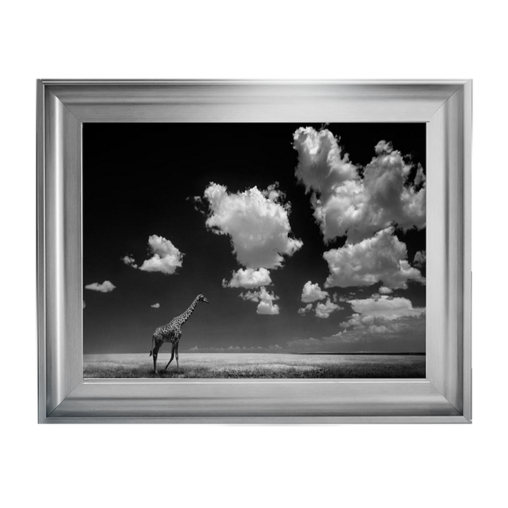 Ghizzi Panizza -Gone with the Clouds
