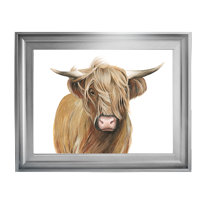 Highland Cattle I