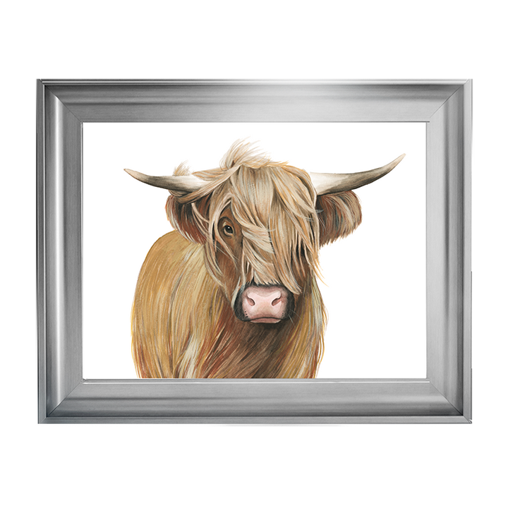 Highland Cattle I