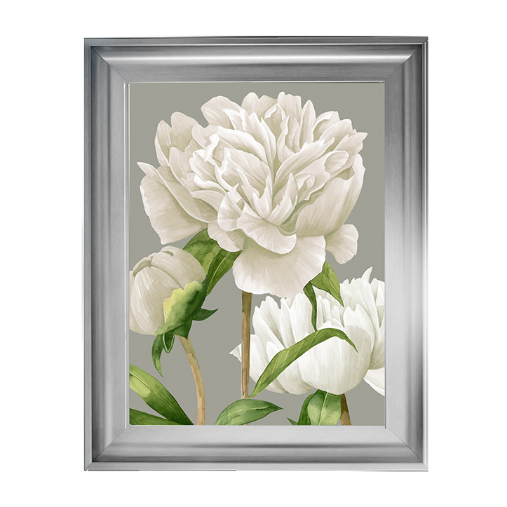 White Peonies II