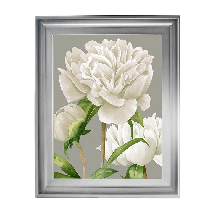 White Peonies II