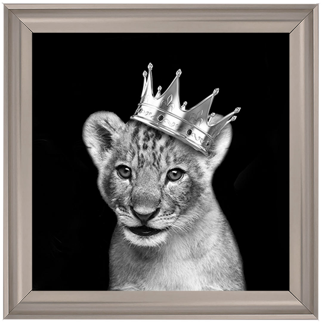 Prince Cub Silver