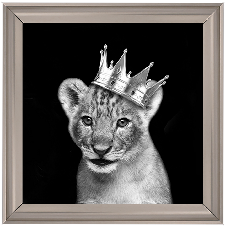 Prince Cub Silver