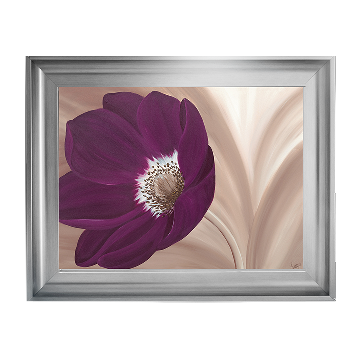 Velvet Anemone