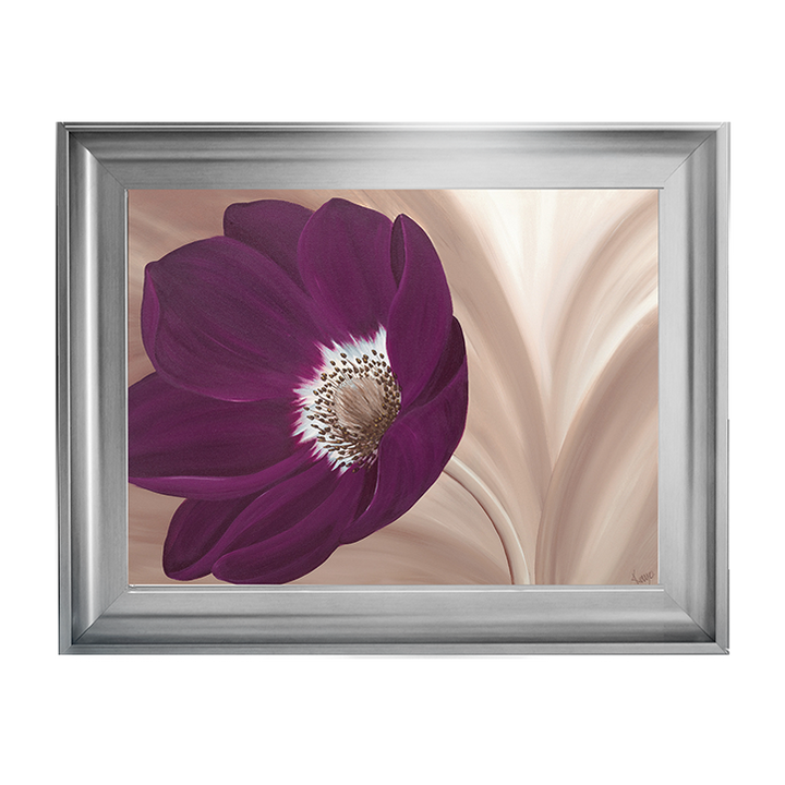 Velvet Anemone