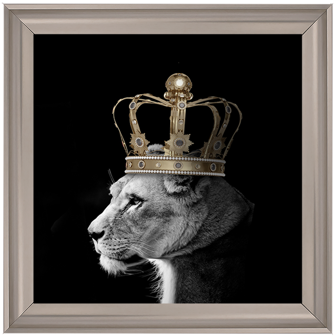 Queen Lion Gold