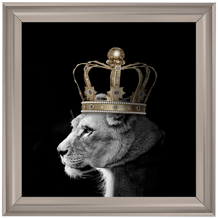 Queen Lion Gold