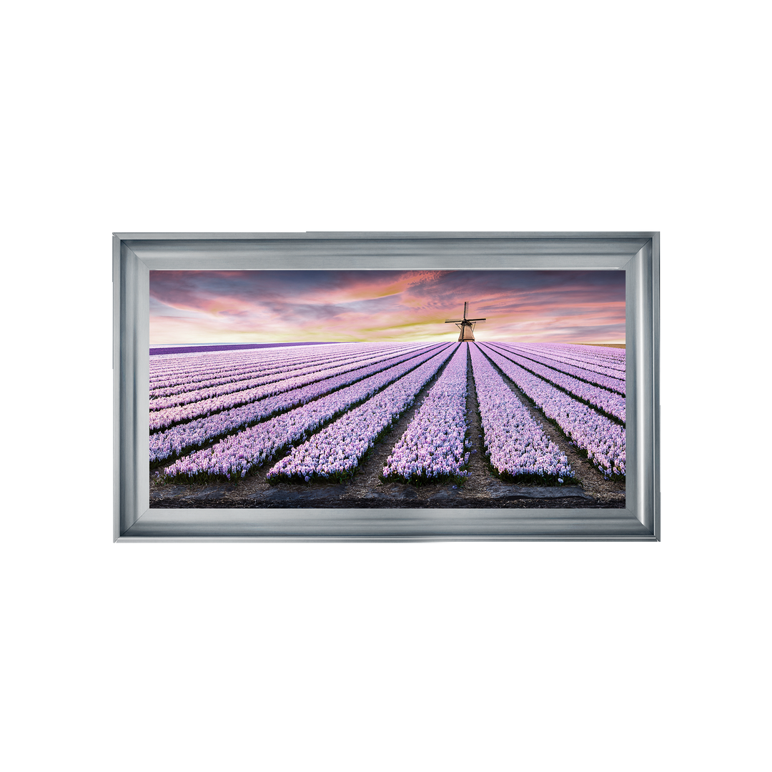 Purple Field
