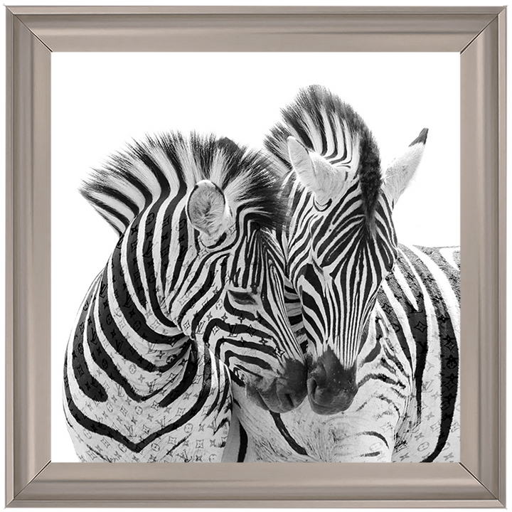 AN285 Zebra Love