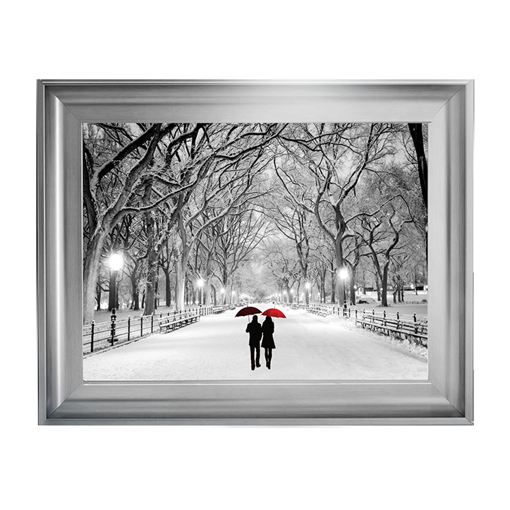 Walk through the snowy park