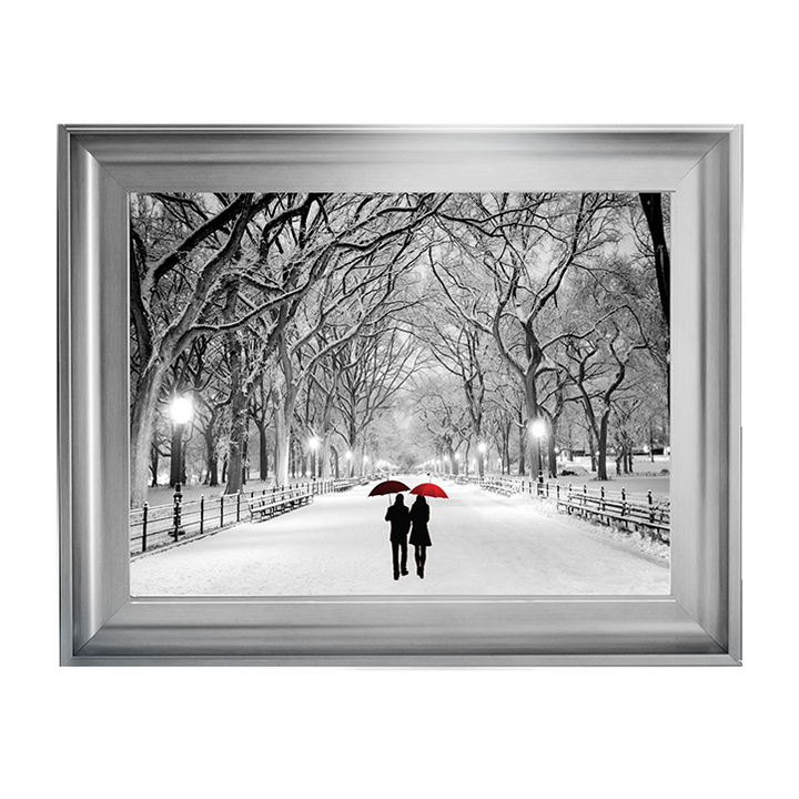 Walk through the snowy park