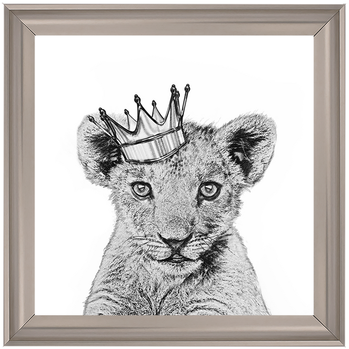 Prince Cub