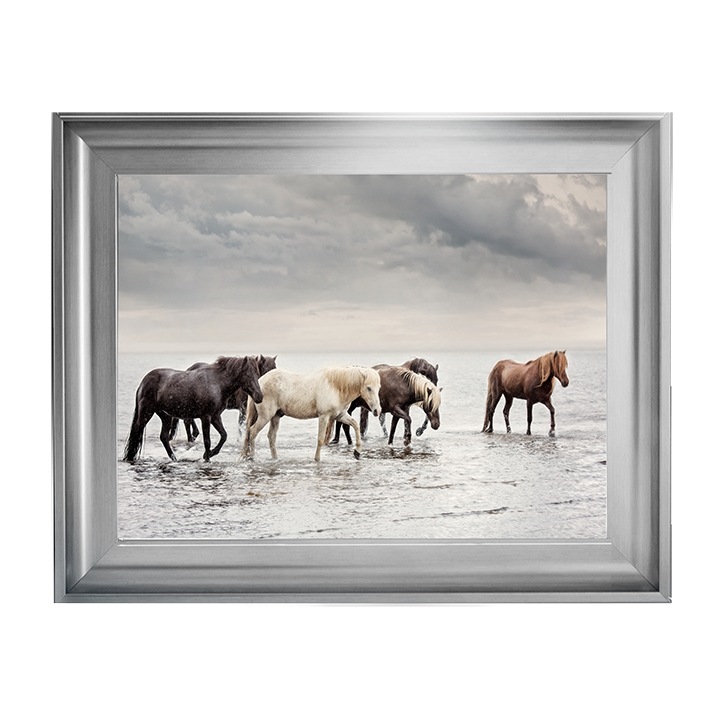 Water Horses IV