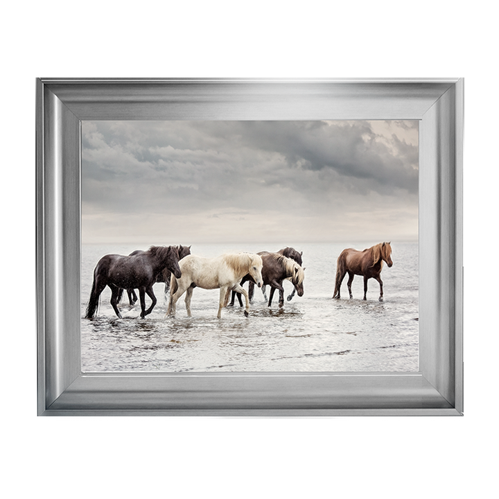 Water Horses IV