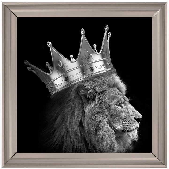 AN298 King Lion Silver
