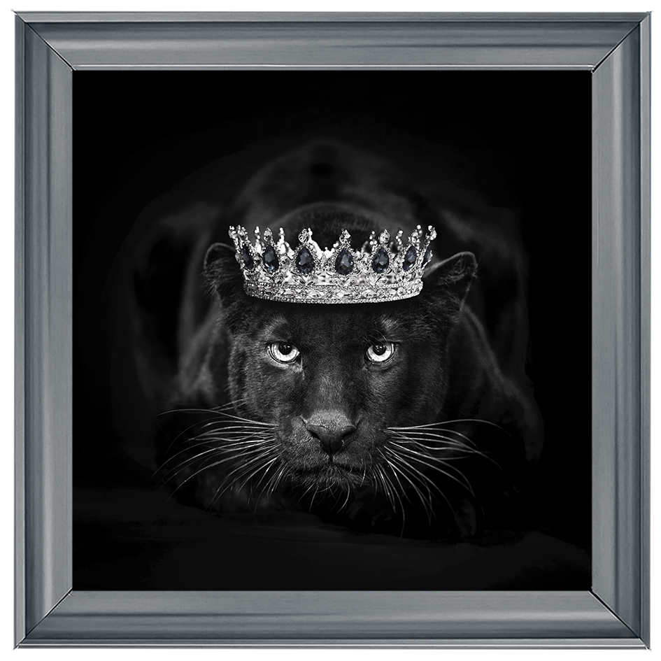 Royal Jaguar