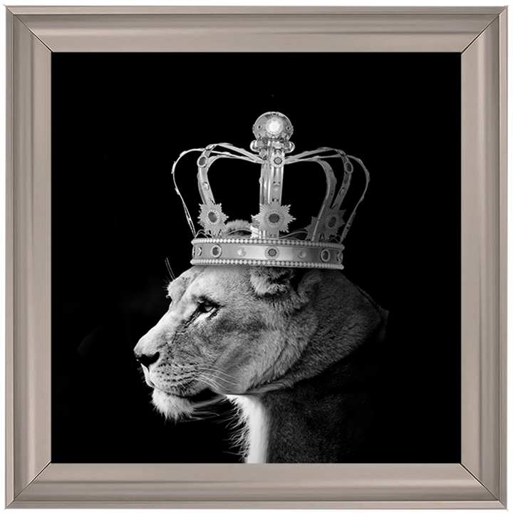 Queen Lion Silver