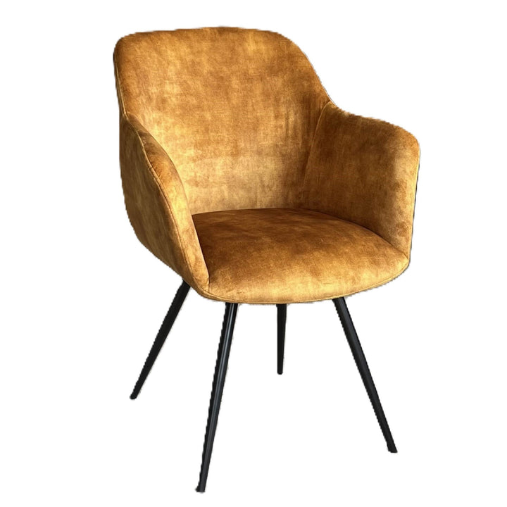 Vellane Dining / Occasional chair  gold